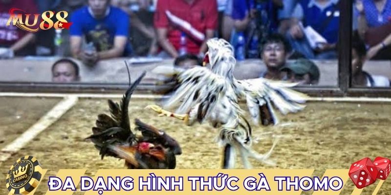 Có đa dạng hình thức gà Thomo