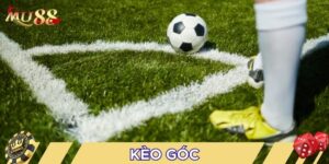 Kèo góc là dạng kèo phụ được yêu thích